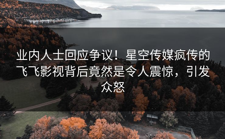 业内人士回应争议！星空传媒疯传的飞飞影视背后竟然是令人震惊，引发众怒