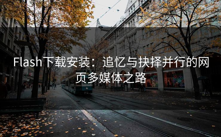 Flash下载安装：追忆与抉择并行的网页多媒体之路