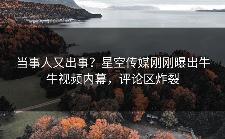 当事人又出事？星空传媒刚刚曝出牛牛视频内幕，评论区炸裂