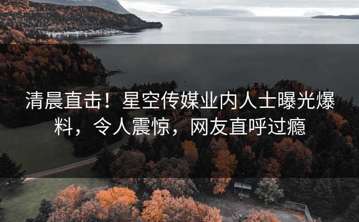 清晨直击！星空传媒业内人士曝光爆料，令人震惊，网友直呼过瘾
