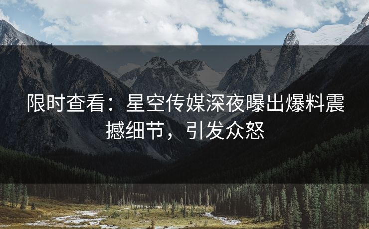 限时查看：星空传媒深夜曝出爆料震撼细节，引发众怒