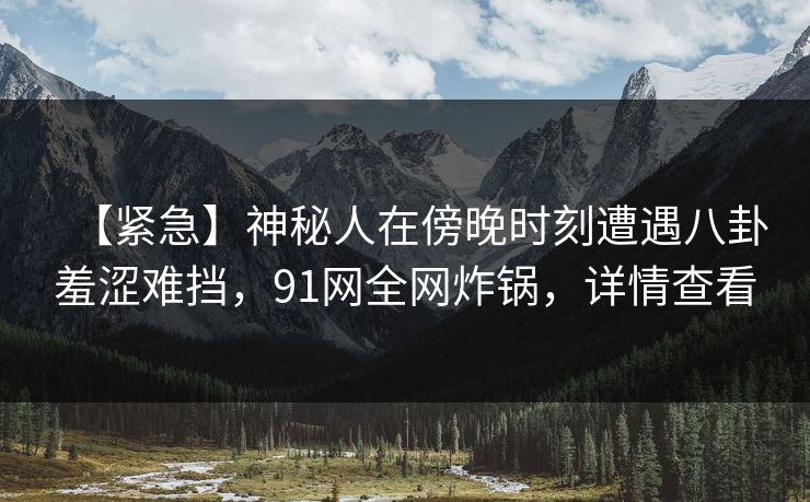 【紧急】神秘人在傍晚时刻遭遇八卦羞涩难挡，91网全网炸锅，详情查看