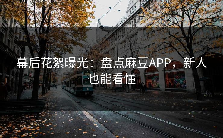 幕后花絮曝光：盘点麻豆APP，新人也能看懂